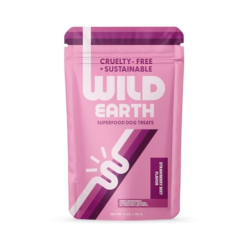 Wild Earth Superfood Dog Treats, Plant Based Dog Treats with Omega Acids, Prebiotics & Koji Protein, No Fillers, Veterinarian-Developed, Strawberry & Beet Flavor
