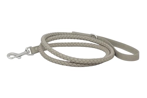 Luxury Waterproof Dog Leash Made with Vegan Leather Marine Grade, Rust and Odor Resistant Bluewater Dog (Winter, 5ft Medium)