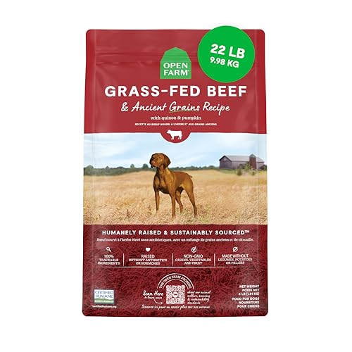 Open Farm, Ancient Grains Dry Dog Food, Protein-Rich & Nutrient Dense, 90% Animal Protein Mixed with Non-GMO Fruits, Veggies and Superfoods, Grass-Fed Beef Recipe, 22lb Bag