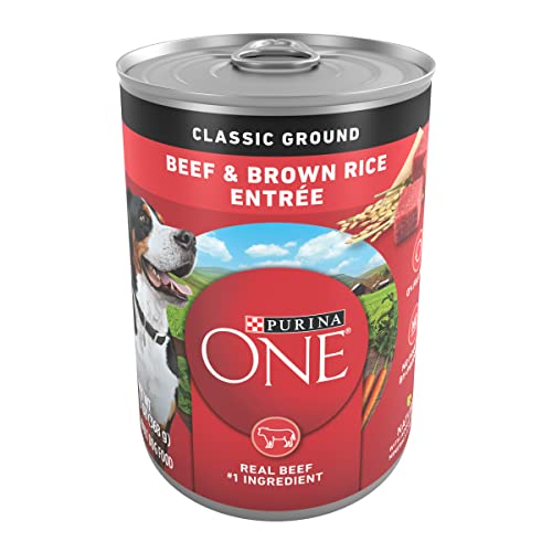 Purina ONE Classic Ground Beef and Brown Rice Entree Adult Wet Dog Food (Pack of 12) 13 oz. Cans