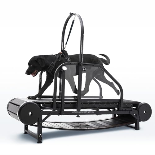 CAMTTIR New Dog Treadmill for 2025, Non-Electric Treadmill for Dogs with Step Counter, Adjustable Incline & Brake, Dog Treadmills Suitable for Indoor and Outdoor, Supports Up to 300 lbs