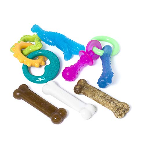 Nylabone New Puppy Starter Kit, 5 Chew Toys and 1 Natural Treat for Puppies, Multi Color, Bacon & Chicken Flavor, Small - Up to 25 lbs, 6 Pack