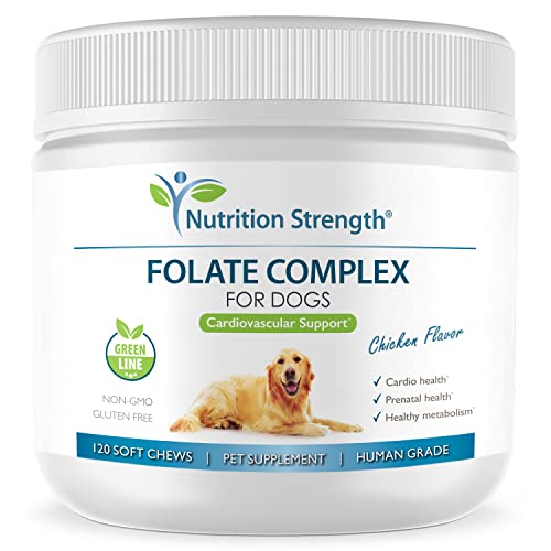 Nutrition Strength Folate for Dogs to Promote Cardiovascular & Prenatal Health, Support DNA Synthesis & Cell Maintenance, Folic Acid for Dogs with Zinc, Biotin, Iron & Vitamin B12, 120 Sof...