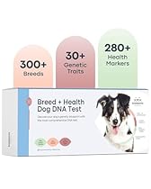 Basepaws Dog DNA Test: