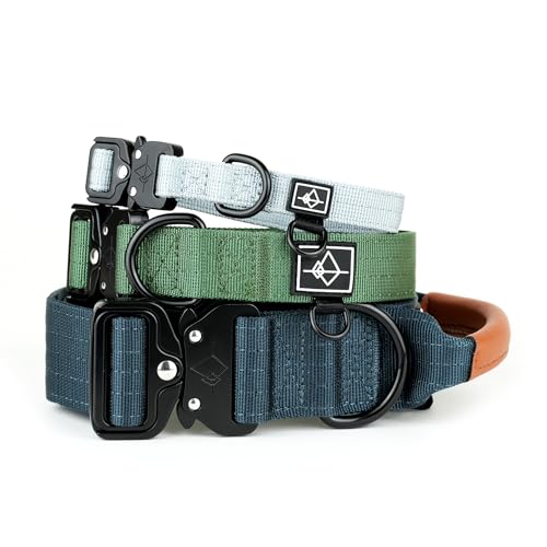 Made to ROAM Premium Dog Collar - Adjustable Heavy Duty Nylon Collar with Quick-Release Metal Buckle (Oregon Haze, Classic Size 4)