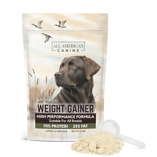 All American Canine Dog Weight Gainer High Calorie Dog Food Supplement & Protein Powder for Rapid Weight Gain, Mass, and Recovery Appetite Stimulant 60 Servings