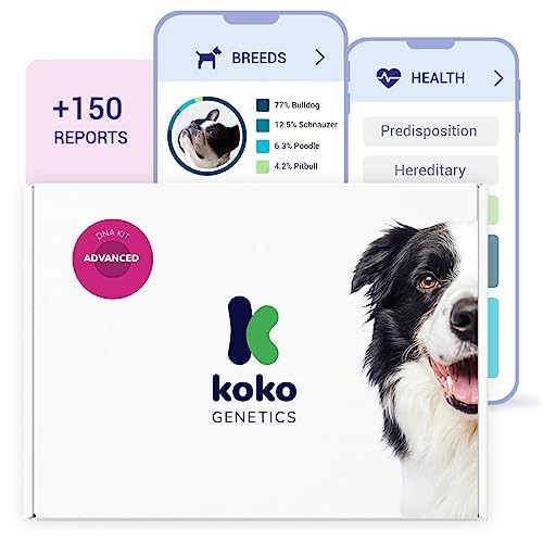 Koko DNA Test for Dogs Advanced - (+150 Reports of Breeds, Health and Traits) - Updates at no Cost