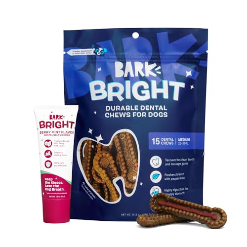 Barkbox Bright Durable Dental Kit, 15 Chew Sticks & Toothpaste - Medium Breeds (Berry Mint Flavored)