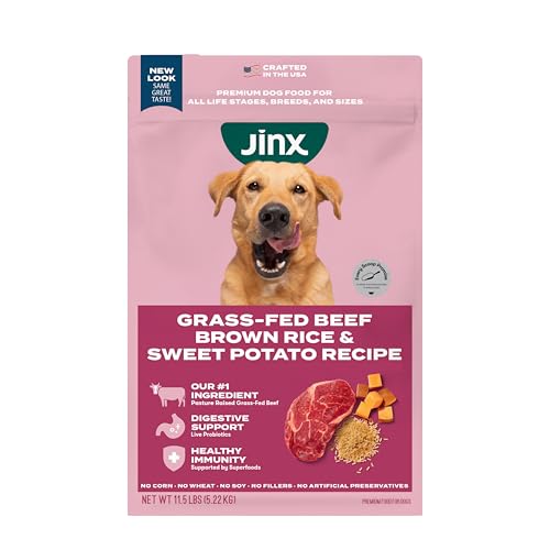 Jinx Premium Dry Dog Food, for All Lifestages - Real Beef, Brown Rice & Sweet Potato Kibble with Superfoods for Immune Support & Probiotics for Digestive Support - No Fillers - 11.5lb