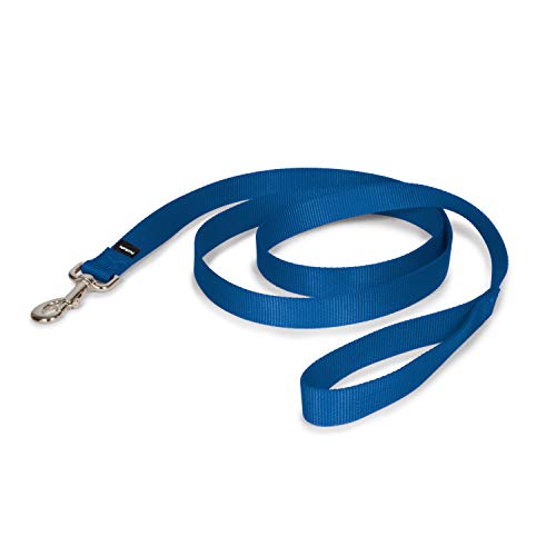 PetSafe Nylon Dog Leash Strong, Durable, Traditional Style Leash with Easy to Use Bolt Snap 1" x 6', Royal Blue