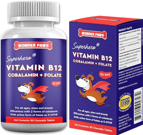 Wonder Paws B12 Supplement for Dogs Vitamin B-12 for Dogs of All Ages, Sizes & Breeds Vitamin B12 for Dogs as Superior Methylcobalamin, Cobalamin & Folate (5-MTHF) 90 Beef Flavored Chewables