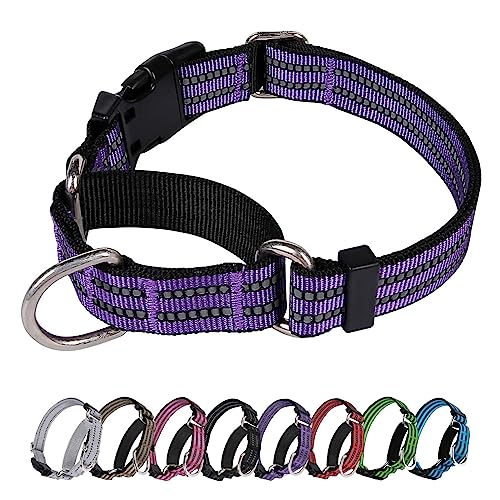 JOYEEIIOO Martingale Dog Collar, Adjustable Nylon Reflective Collar with Buckle No Pull Dog Collar for Small Medium Large Dogs (Purple M)