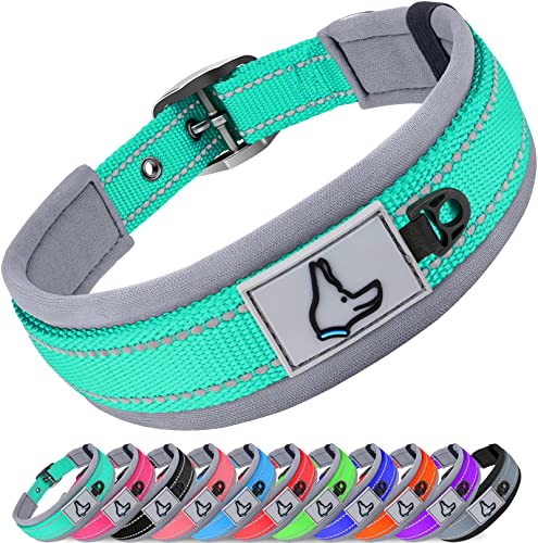 Joytale Dog Collar for Large Dogs, Neoprene Padded and Adjustable, Reflective Wide Heavy Duty Pet Collars with Durable Metal Belt Buckle for Walking, Teal, L