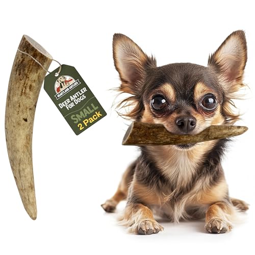 Heartland Deer Antlers for Dogs - Grade A, Naturally Shed Antlers | Dog Bones for Aggressive Chewers & Teething Puppies | Chew Toy for All Breeds | USA Made & Veteran Owned (Small: 4-5 Deer 2-...