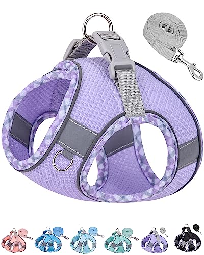 Petank Dog Harness for Small Medium Dogs No Pull, Puppy Harness and Leash Set, Easy Walk Dog Harness for Walking, Running, Training, Small Dog Harness, Medium Dog Harness (Purple, XXS)