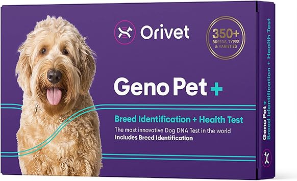 ORIVET Dog DNA Test | Comprehensive Dog Breed Test Kit, Genetic Testing and Life Plan GenoPet+ for Canines