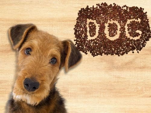 Best Dog Food For Airedale Terriers chapter 1