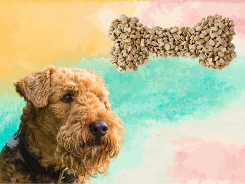 Best Dog Food For Airedale Terriers chapter 2