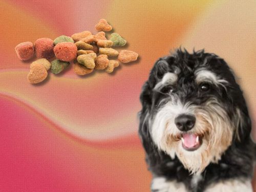 Best Dog Food For Bernedoodles chapter 2