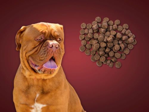 Best Dog Food For Dogues de Bordeaux chapter 3