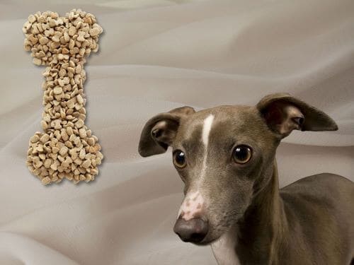 Best Dog Food For Italian Greyhounds chapter 2