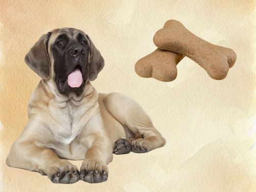 Best Dog Food For Mastiffs chapter 2