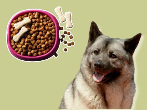 Best Dog Food For Norwegian Elkhounds chapter 2