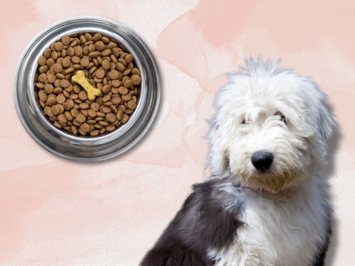 Best Dog Food For Old English Sheepdogs chapter 1