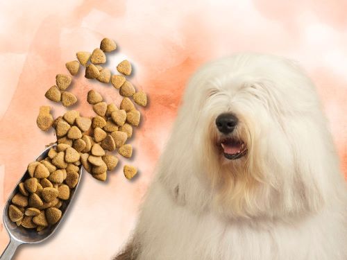 Best Dog Food For Old English Sheepdogs chapter 3