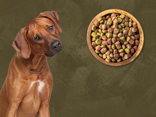 Best Dog Food For Rhodesian Ridgebacks Chapter 1