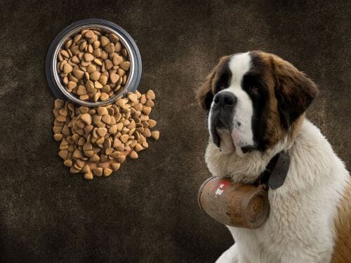 Best Dog Food For Saint Bernards chapter 3