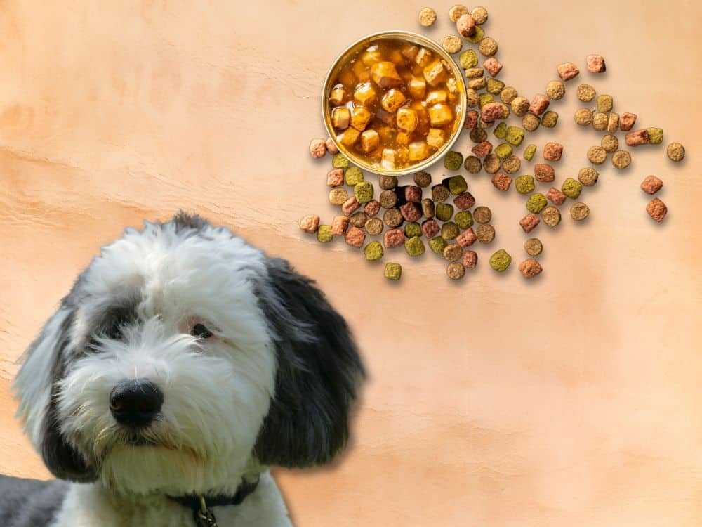 Best Dog Food For Sheepadoodles chapter 3