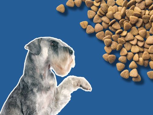 Best Dog Food For Standard Schnauzers chapter 3