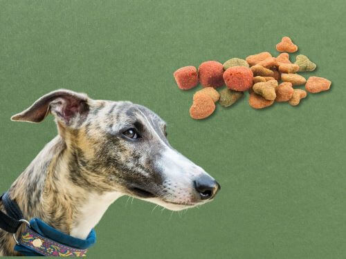 Best Dog Food For Whippets chapter 2