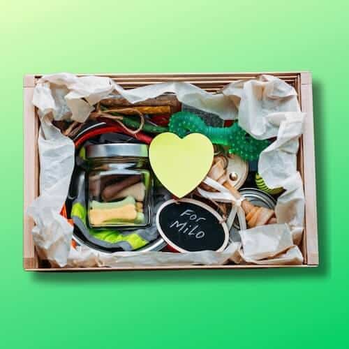 cheap dog subscription box