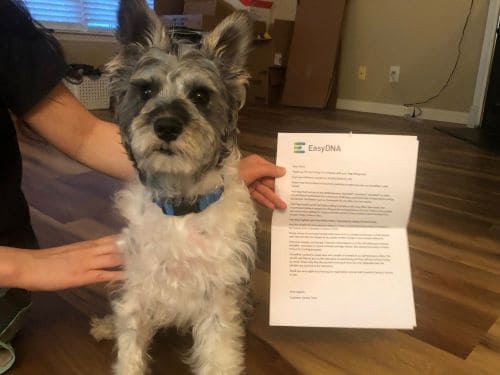 Easydna dog allergy test review chapter 1