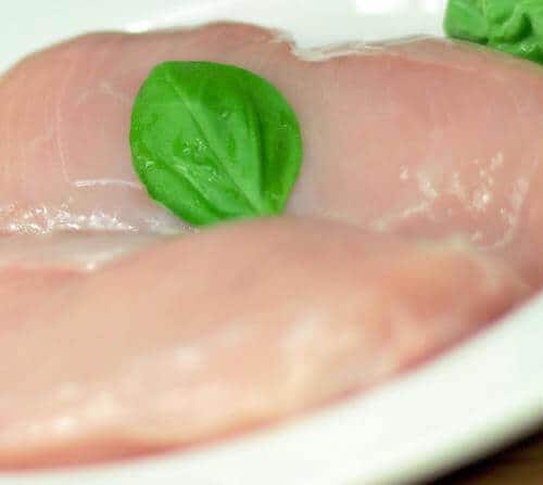 husky raw dog food recipe