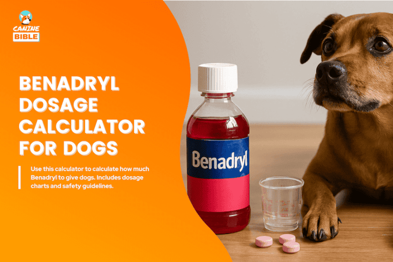 Benadryl Dog Dosage Calculator: How Much to Give & Charts
