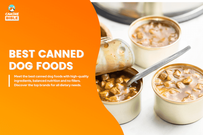 best canned dog food