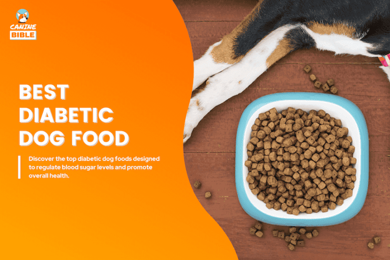 The Best Food For Dogs With Diabetes 2025: Vet-Approved