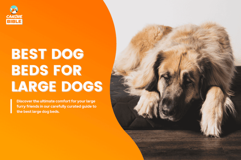 best dog beds for large dogs