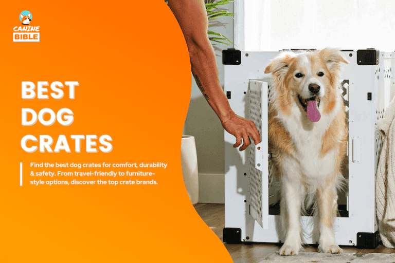 The 15 Best Dog Crates of 2025: Reviewed & Tested