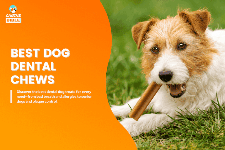 best dog dental chews