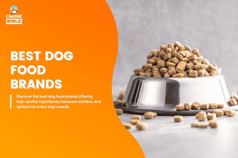 The 20 Best Dog Foods of 2025: Top Brands Reviewed