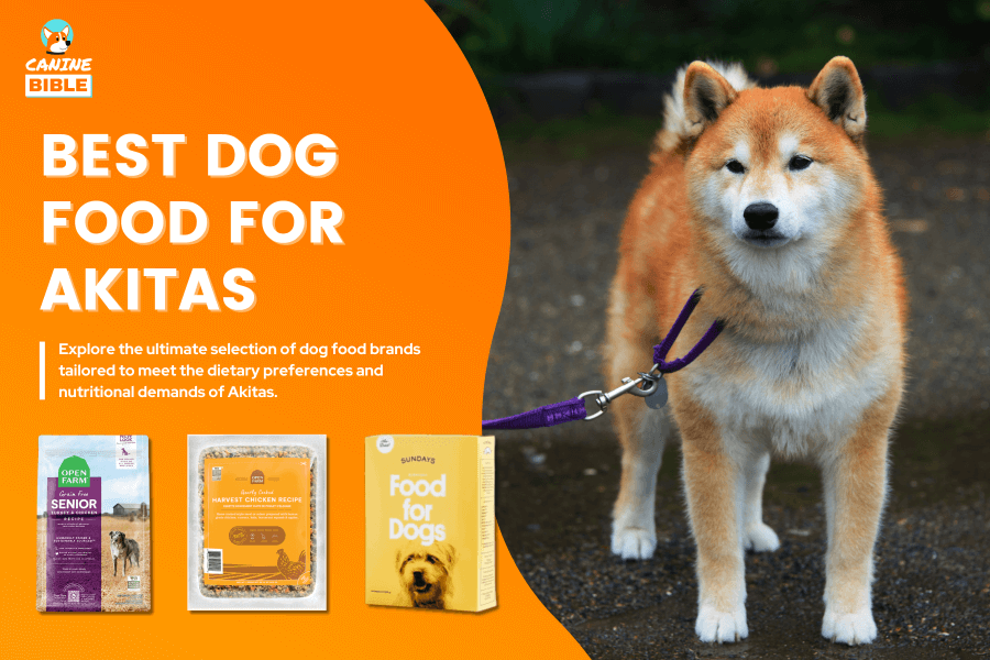 Best Dog Food For Akitas