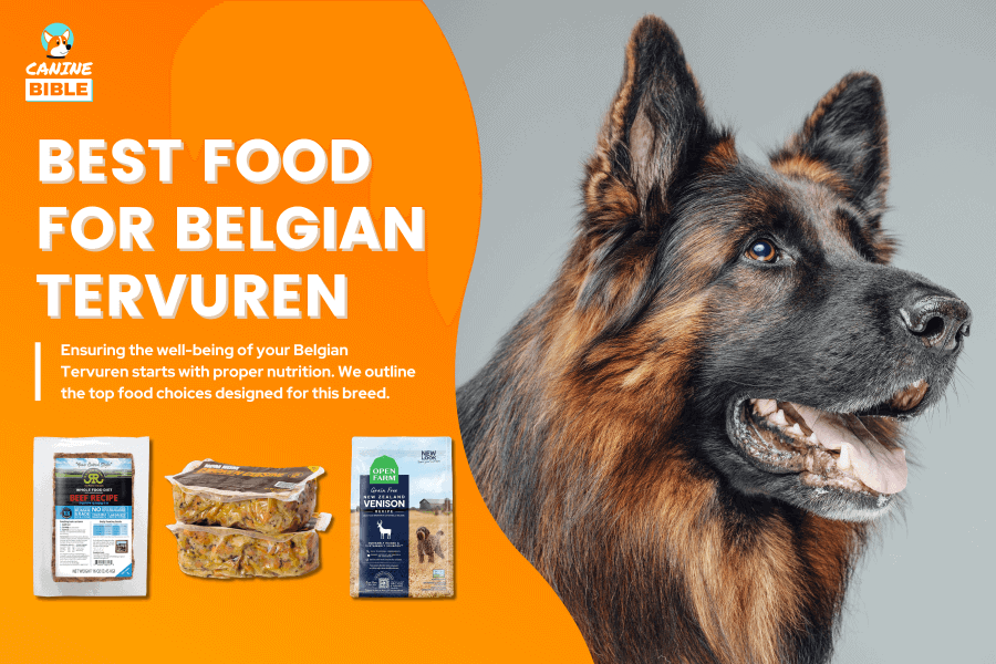Best Dog Food For Belgian Tervuren