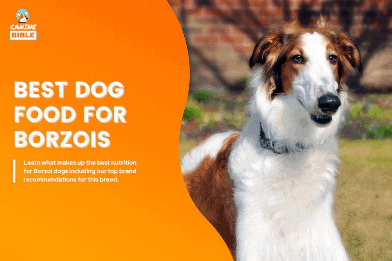 Best Dog Food For Borzois