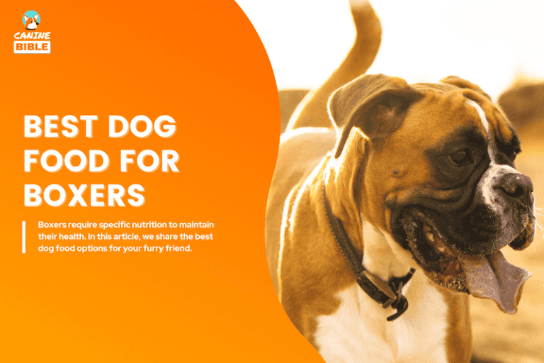 10 Best Dog Foods For Boxers in 2025: Vet-Approved