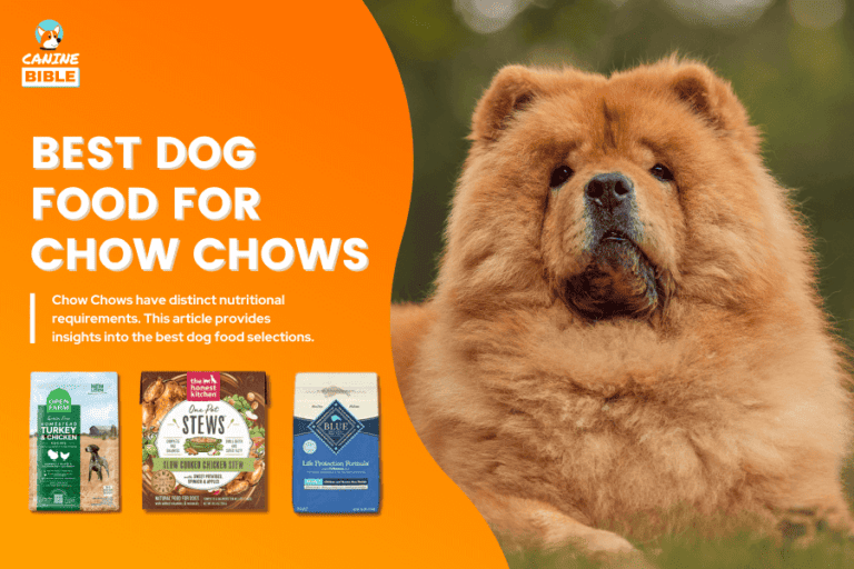 Best Dog Food For Chow Chows