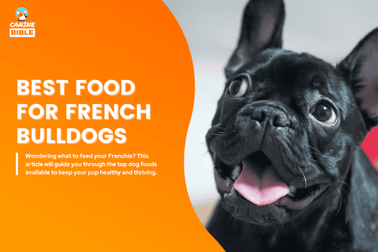 best dog food for french bulldog